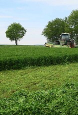 Semhof Luzernepellets Topline/Turbo