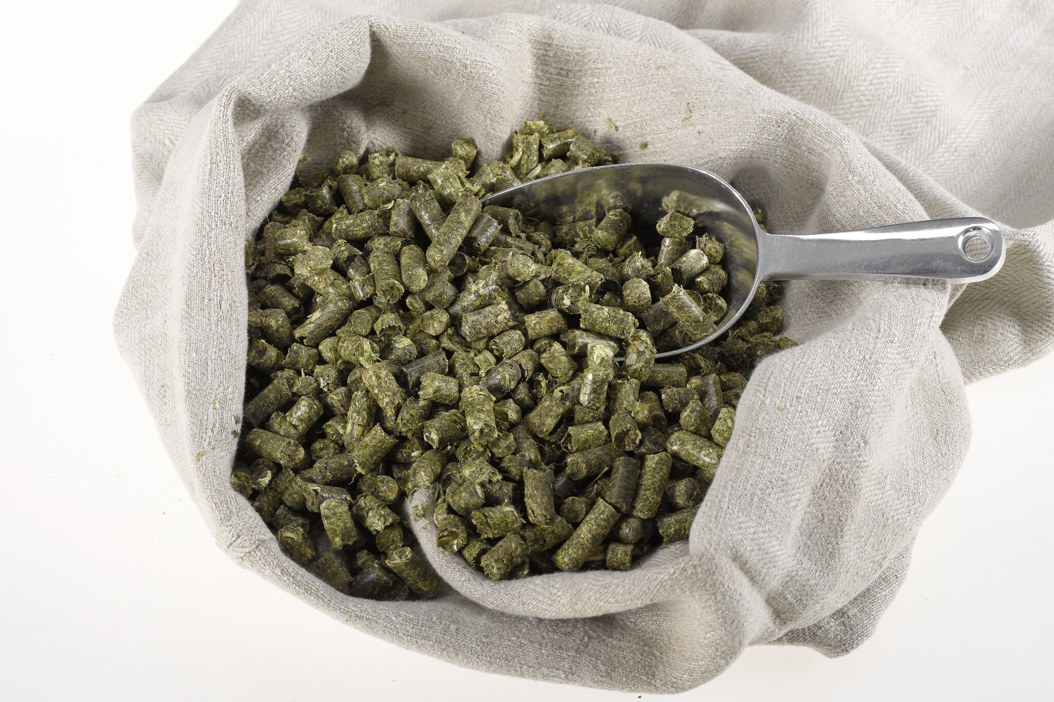 Welche Luzerne passt zu meinem Pferd?