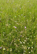 Semhof Bio Heucobs zuckerarm