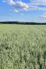 Semhof Bio Grünhaferpellets LIGHT