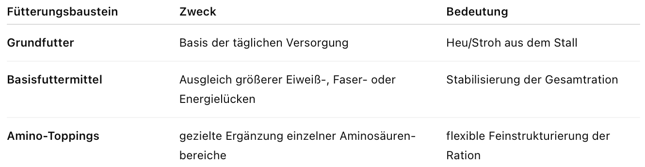 Semhof Bio Amino-Toppings