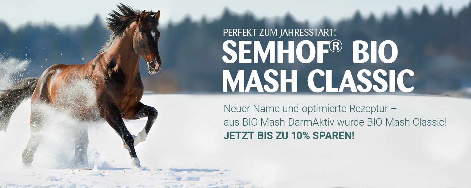 AUS MASH DARMAKTIV WIRD MASH CLASSIC
