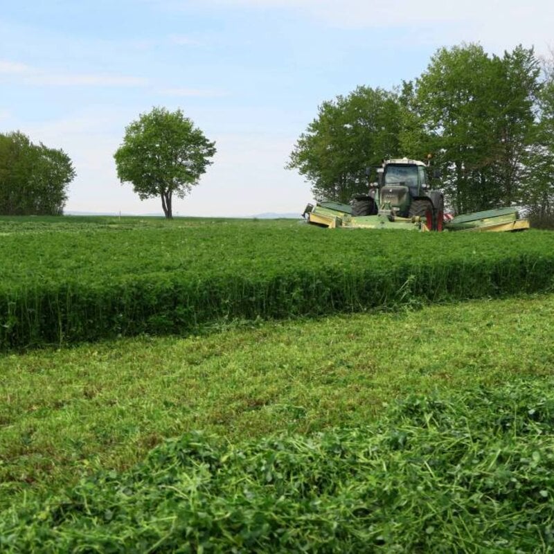 NEU! Semhof Bio LuzerneQUICK Turbo