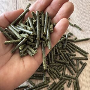 NEU! Semhof Bio LuzerneQUICK Turbo