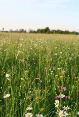 NEU: Semhof Bio HeuQUICK zuckerarm