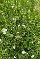 NEU: Semhof Bio HeuQUICK zuckerarm