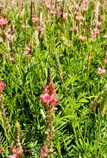 NEU! Semhof Bio EsparsettenQUICK