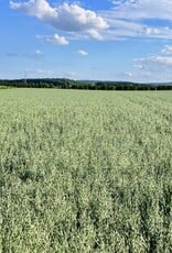 NEU! Semhof Bio GrünhaferQUICK