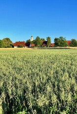 NEU! Semhof Bio GrünhaferQUICK