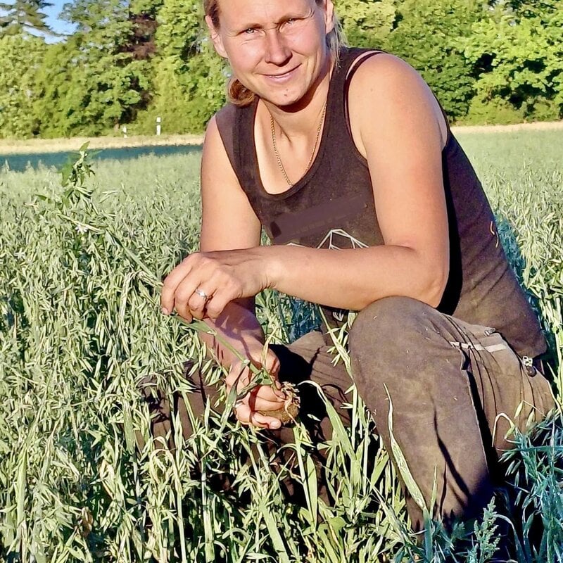 NEU! Semhof Bio GrünhaferQUICK