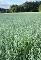 NEU! Semhof Bio GrünhaferQUICK