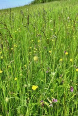 NEU: Semhof Bio WiesenQUICK zuckerarm