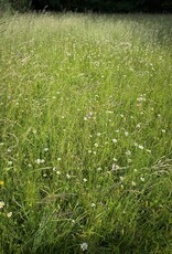 NEU: Semhof Bio WiesenQUICK zuckerarm