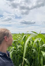 NEU! Semhof Bio GrünhirseQUICK