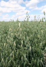 NEU! Semhof Bio GrünhaferQUICK Light