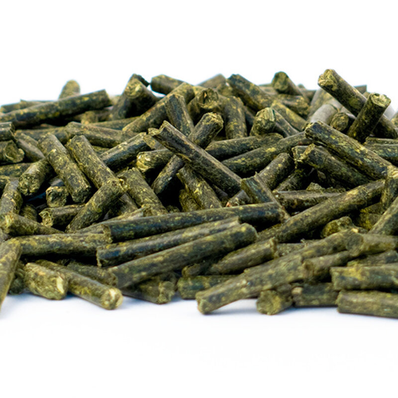 NEU! Semhof Bio LuzerneQUICK Topline zuckerarm