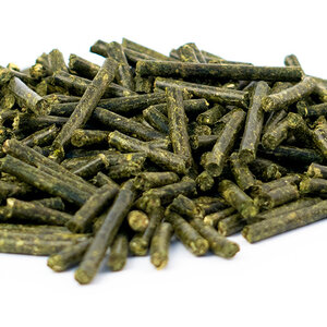 NEU! Semhof Bio GrünhaferQUICK