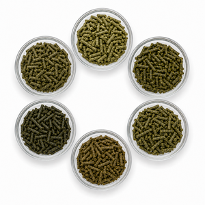 NEU: SemQUICK Bio Basisfutter-Set (6 x 1 kg)