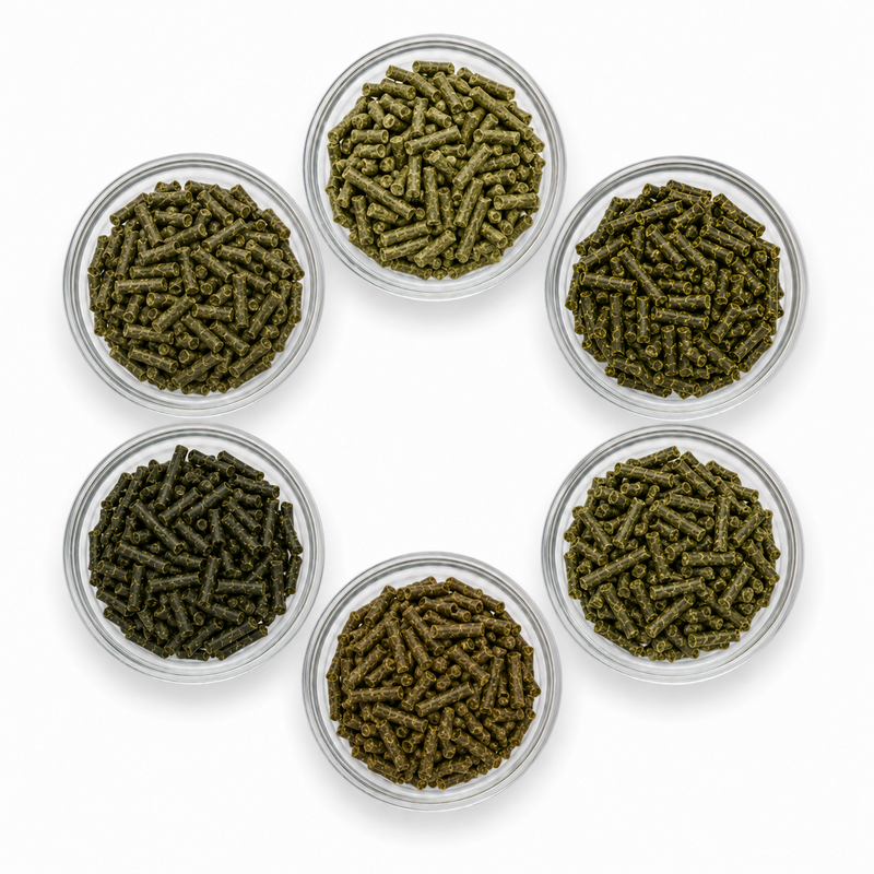 NEU: SemQUICK Bio Basisfutter-Set (6 x 1 kg)