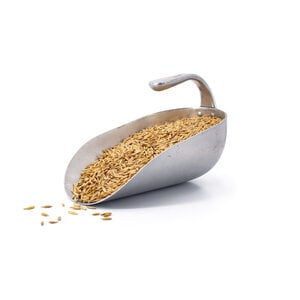 Semhof Bio Hafer Gold
