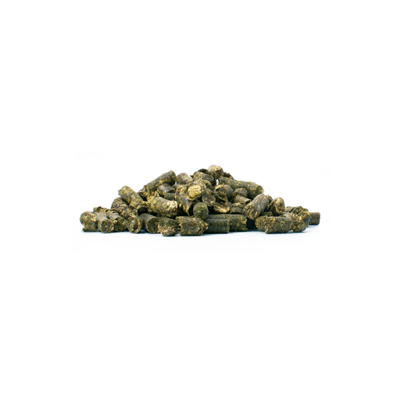 Semhof Bio Esparsette
