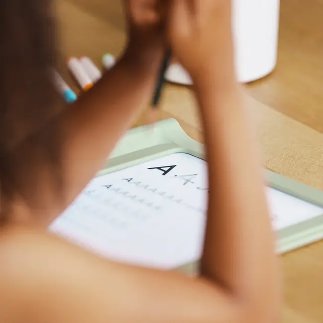 Kidywolf Kidydraw pro