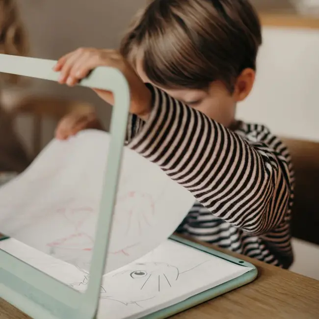 Kidywolf Kidydraw pro