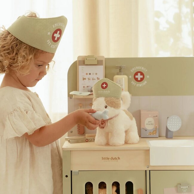 Little Dutch Little dutch dieren praktijk