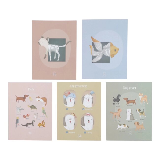 Little Dutch Little dutch dieren praktijk