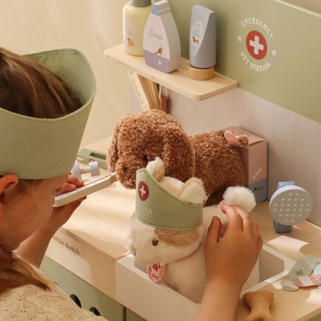 Little Dutch Little dutch dieren praktijk