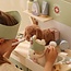 Little Dutch Little dutch dieren praktijk