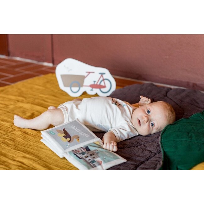 Zacht babyboekje Haarlem