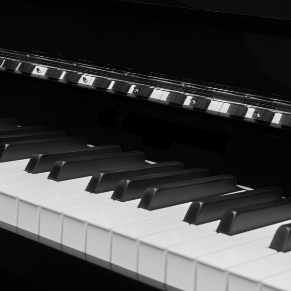 PianoDisc piano