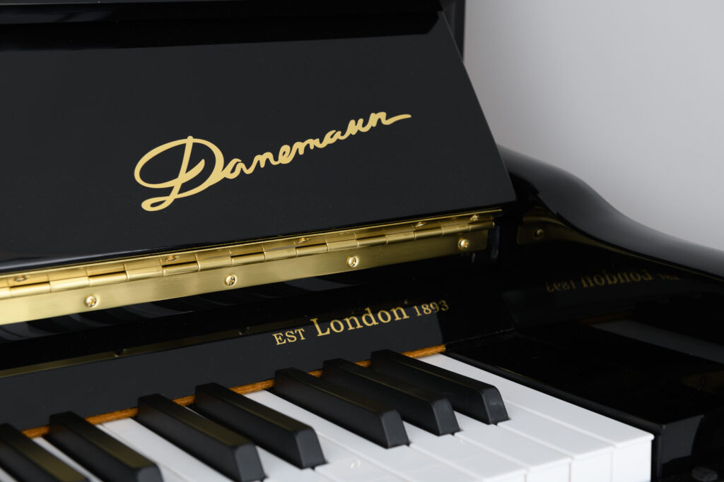 Danemann 123 Hybrid
