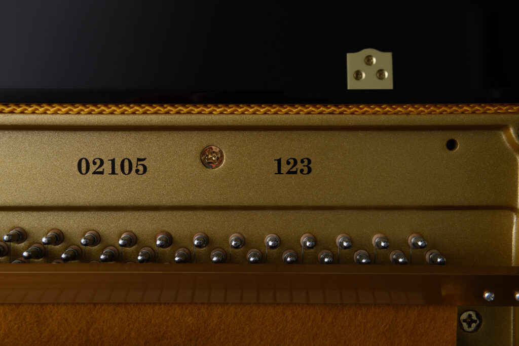 Danemann 123 Hybrid