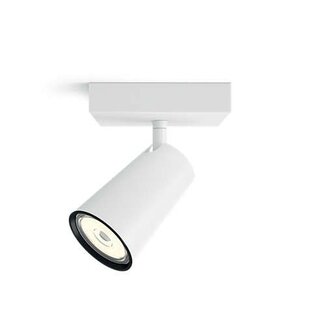 Philips MYL Plafondspot Paisley 5057131PN