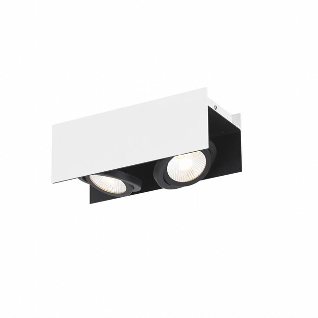 LED wall/ceiling spotlight Vidago 2-light 39316