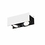 EGLO LED wall/ceiling spotlight Vidago 2-light 39316