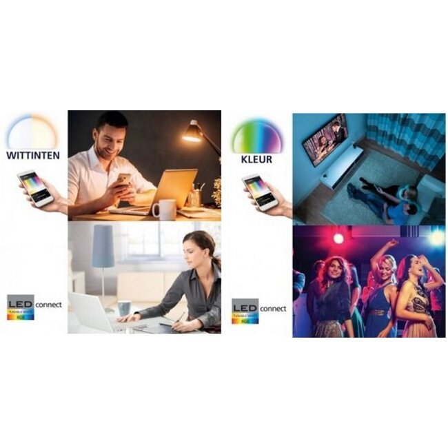 Connect LED Hanglamp Moneva-C 96978