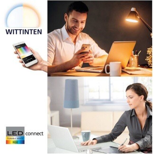 Connect LED Pendant Lamp RIODEVA-C 96997