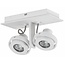 LioLights Ceiling spot PL MEIST2-B