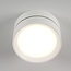 Absinthe LED Outdoor ceiling spot Luna L White IP54