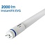 Lampe tubulaire Master LEDTube 120 cm HF 14 W blanc chaud