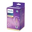 Philips Ampoule LED rétro à filament E27 G93 7-60 W