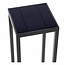 TENSO SOLAR - Lampe sur pied d'extérieur - LED - 1x2,2W 3000K - IP54 - Anthracite - 27892/02/30