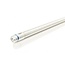 LAMPE TUBE LED MASTER HO blanc chaud 60CM 8W 8718696697474