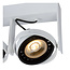 GRIFFON - Ceiling spotlight - LED Dim to warm - GU10 - 2x12W 3000K/2200K - White