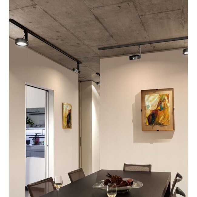 1-Phase Track Profile Surface 2m