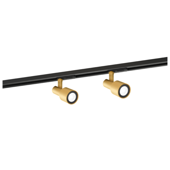 SARA ON TRACK 1.0 PAR16