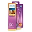 Ampoule LED à filament ST64 E27 6-60 W 806 lm WarmGlow